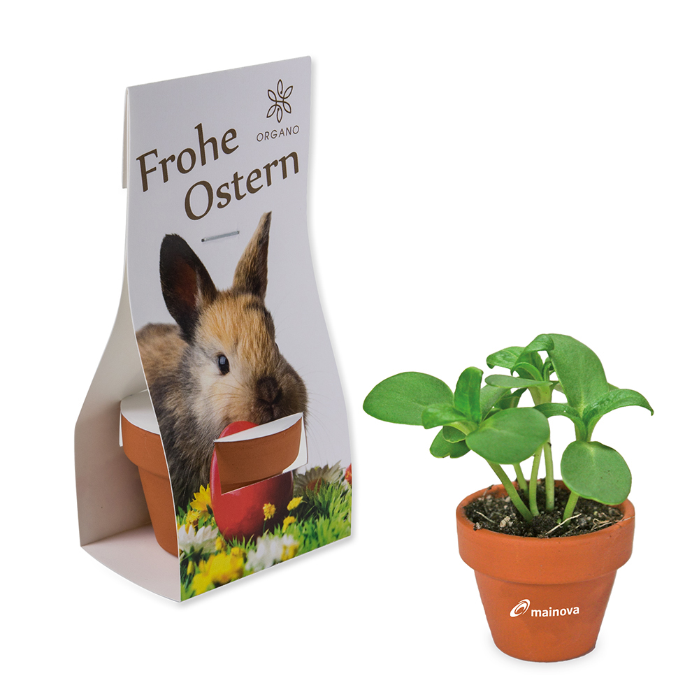 Mini logo-pot handover-packaging with seeds – Easter