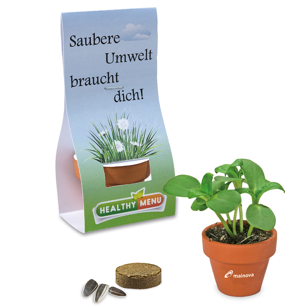 Mini logo-pot handover-packaging with seeds