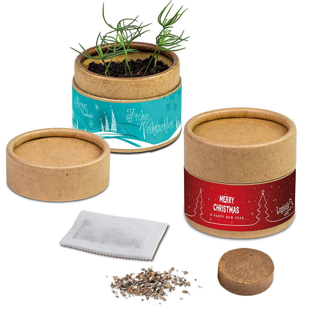 Plant-cup with seeds – Christmas