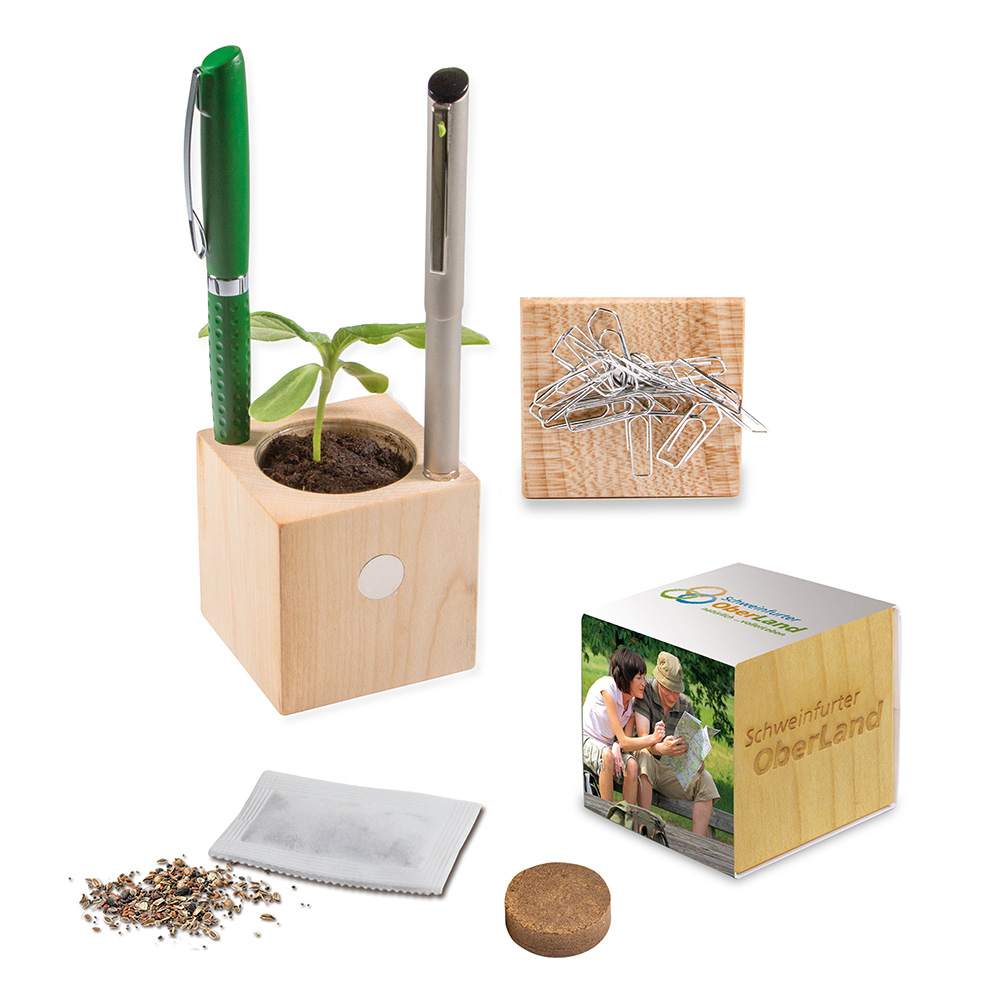 Pflanz-Holz Büro mit Samen