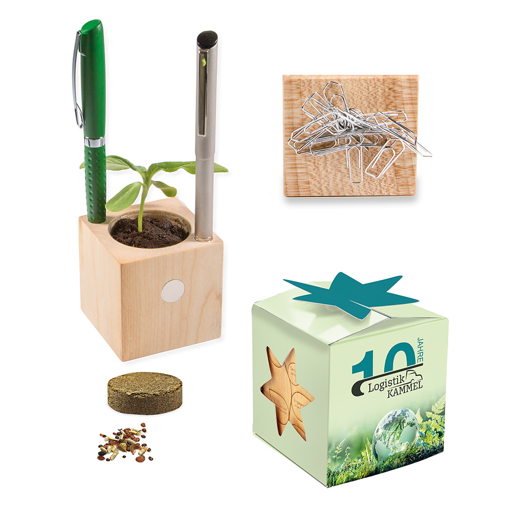Plant-wood office star-box with seeds