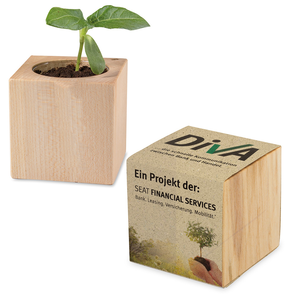 Plant-wood with seeds (paper band from grass paper)
