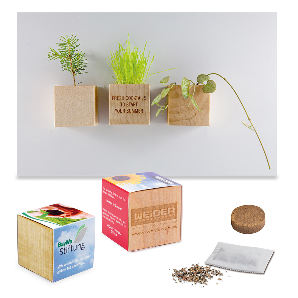 Plant-wood magnet with seeds