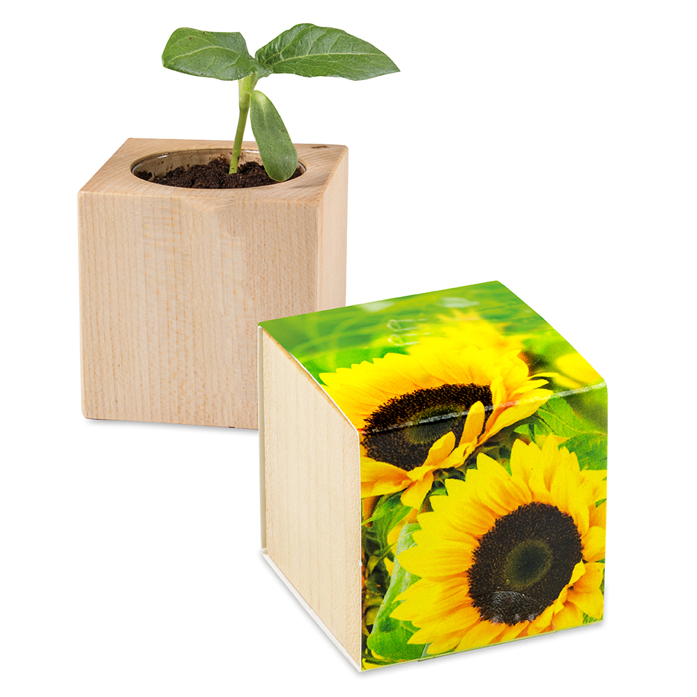 Pflanz-Holz – Standardmotiv – Sonnenblume