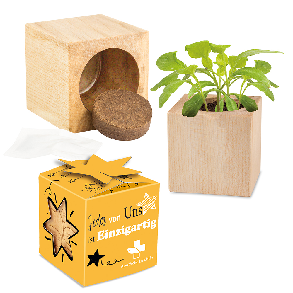 Plant-wood star-box with seeds