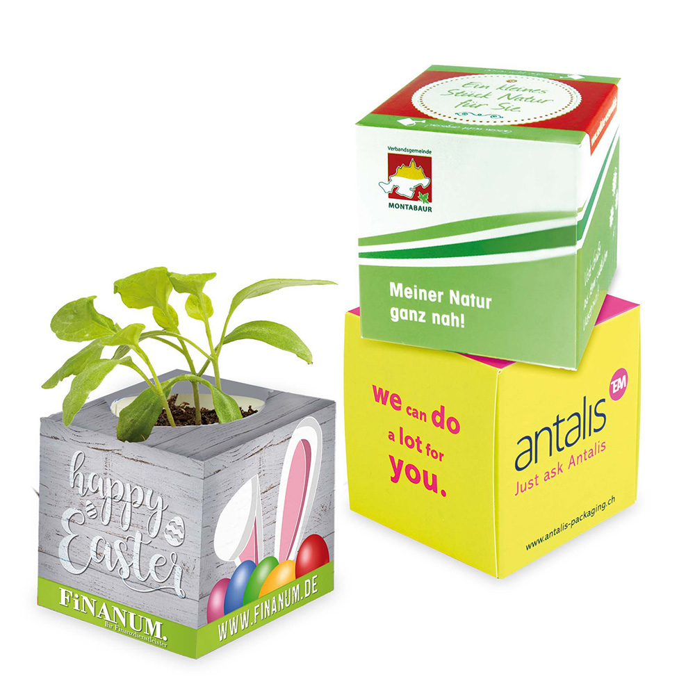 Plant-cube 2.0 with seeds – Easter