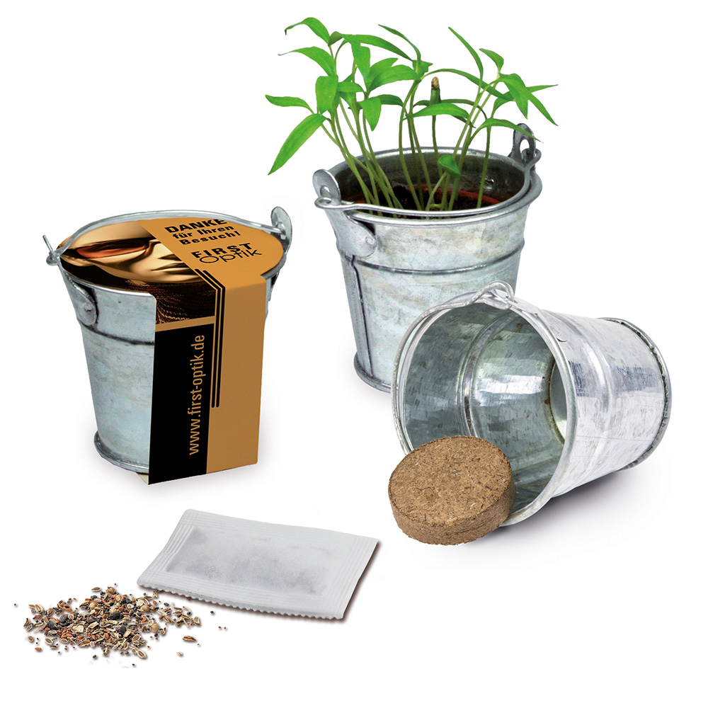 Mini plant-bucket with seeds
