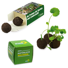 Flower-Balls in Box with seeds